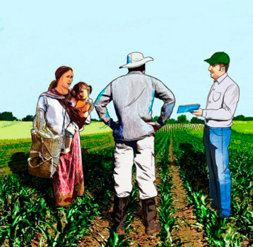 consultoria-de-proyectos-agropecuarios-fundacion-labrando-pais-medellin-antioquia