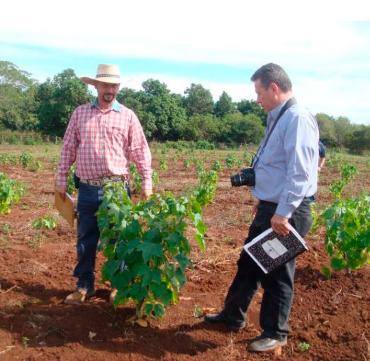 consultoria-de-proyectos-agropecuarios-fundacion-labrando-pais-medellin