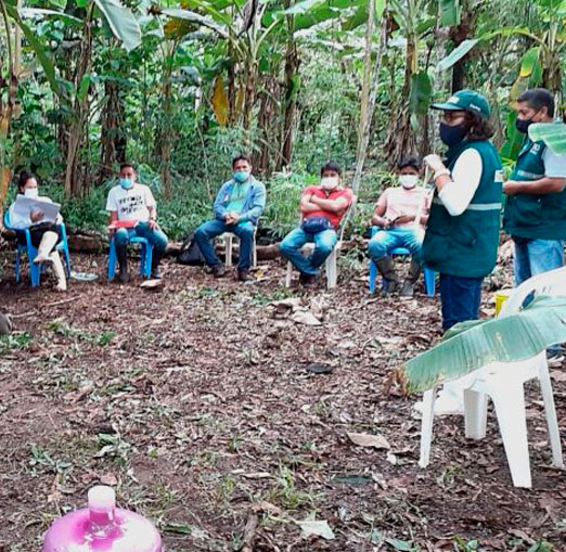 escuela-de-campo-y-proteccion-ambiental-fundacion-labrando-pais-medellin